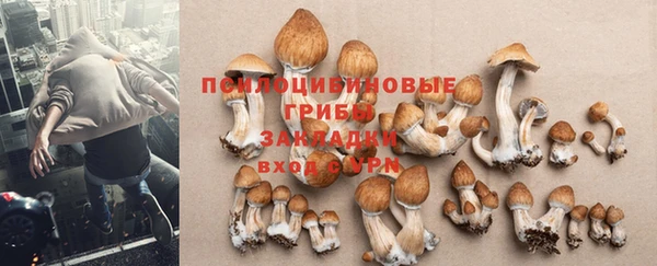 эйфоретик Балахна