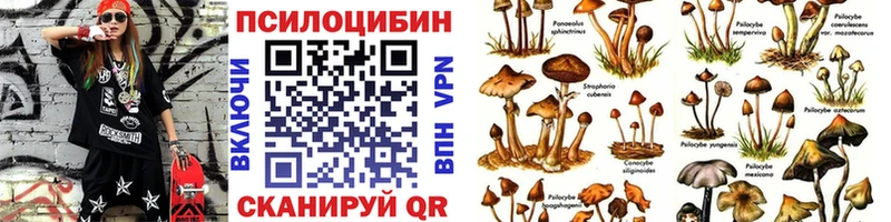 Галлюциногенные грибы Psilocybe Шарыпово